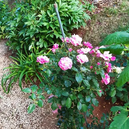 Jardin With Free Cowered Parking *