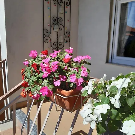 펜션 Jardin With Free Cowered Parking