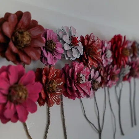 펜션 Jardin With Free Cowered Parking 자다르