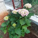 بيت للعطل Jardin With Free Cowered Parking
