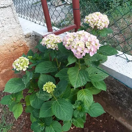 Hébergement de vacances Jardin With Free Cowered Parking