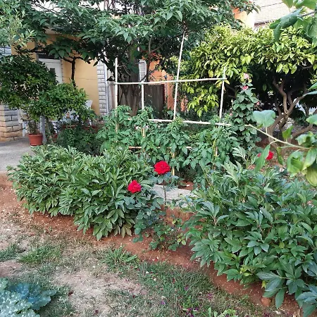 Holiday home Jardin With Free Cowered Parking *