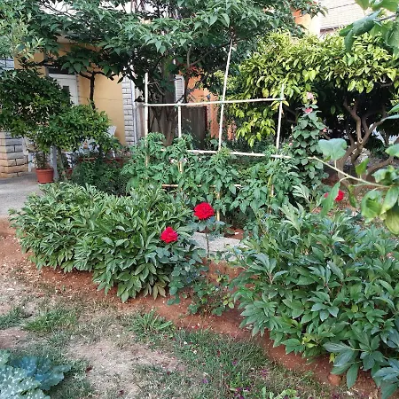 Semesterbostad Jardin With Free Cowered Parking *