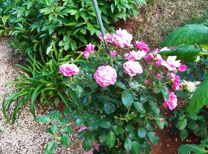 Jardin With Free Cowered Parking *