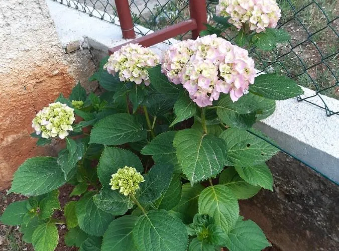 Hébergement de vacances Jardin With Free Cowered Parking