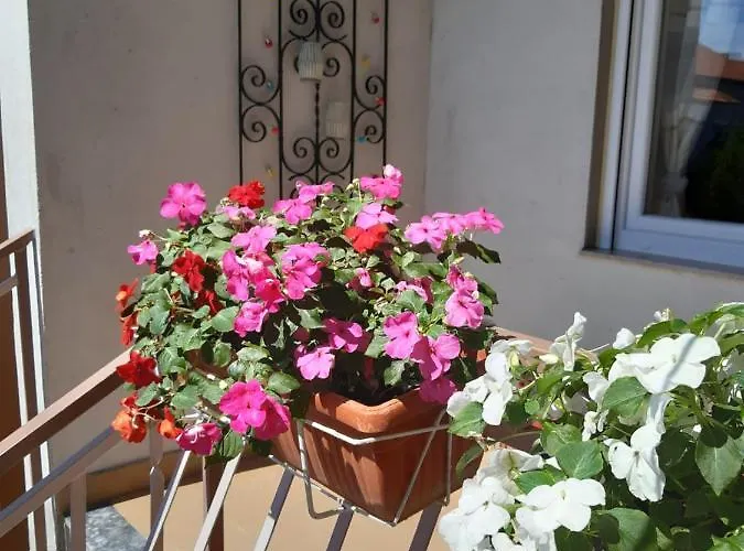 Hébergement de vacances Jardin With Free Cowered Parking