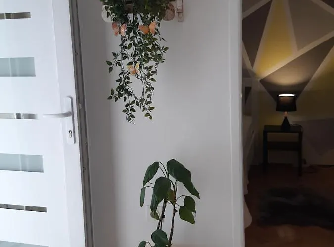 Jardin With Free Cowered Parking Hébergement de vacances *